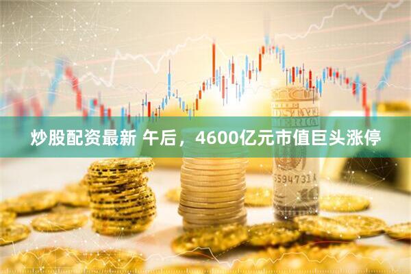 炒股配资最新 午后，4600亿元市值巨头涨停