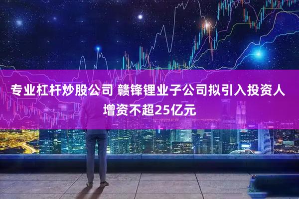 专业杠杆炒股公司 赣锋锂业子公司拟引入投资人 增资不超25亿元
